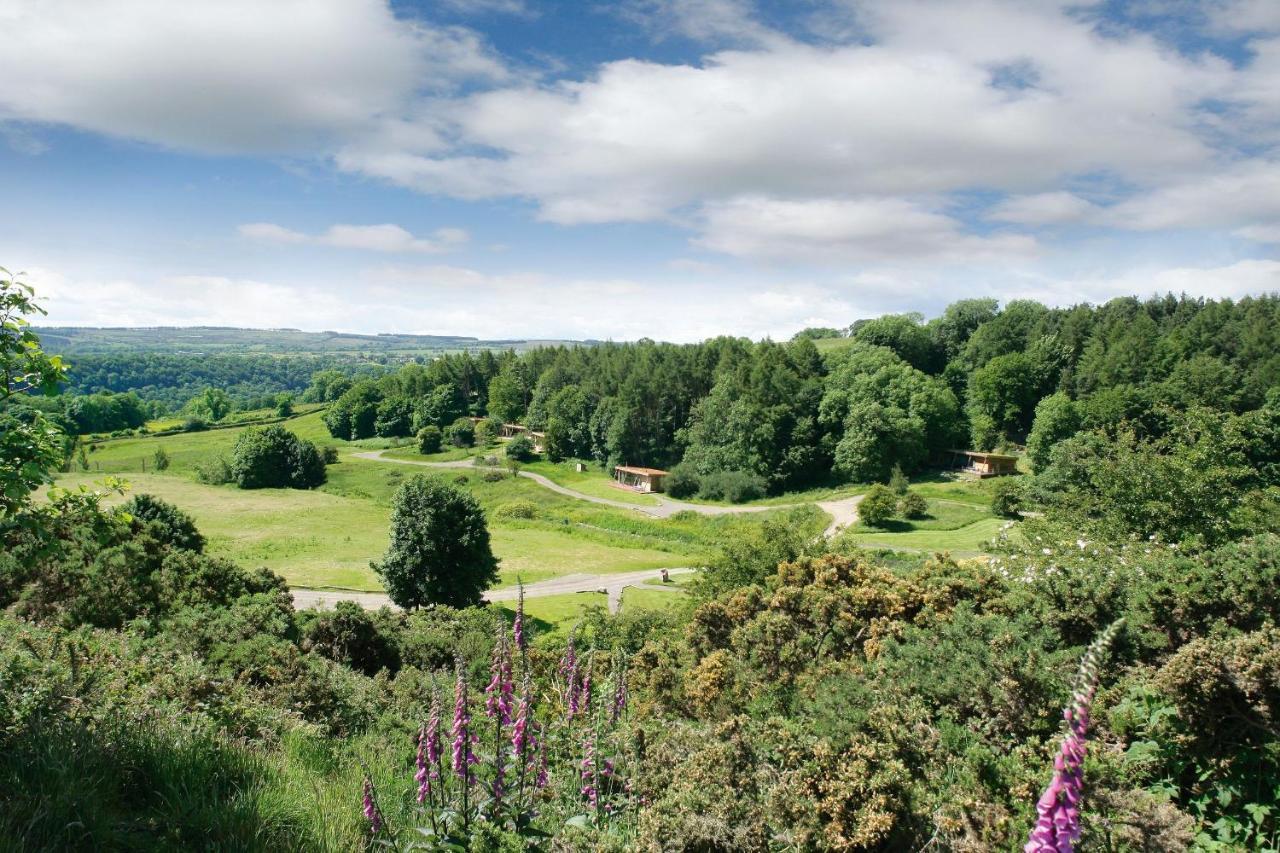 Yorkshire Dales Lodge 3 Family 3 Bed リッチモンド エクステリア 写真