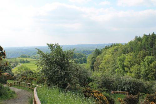 Yorkshire Dales Lodge 3 Family 3 Bed リッチモンド エクステリア 写真